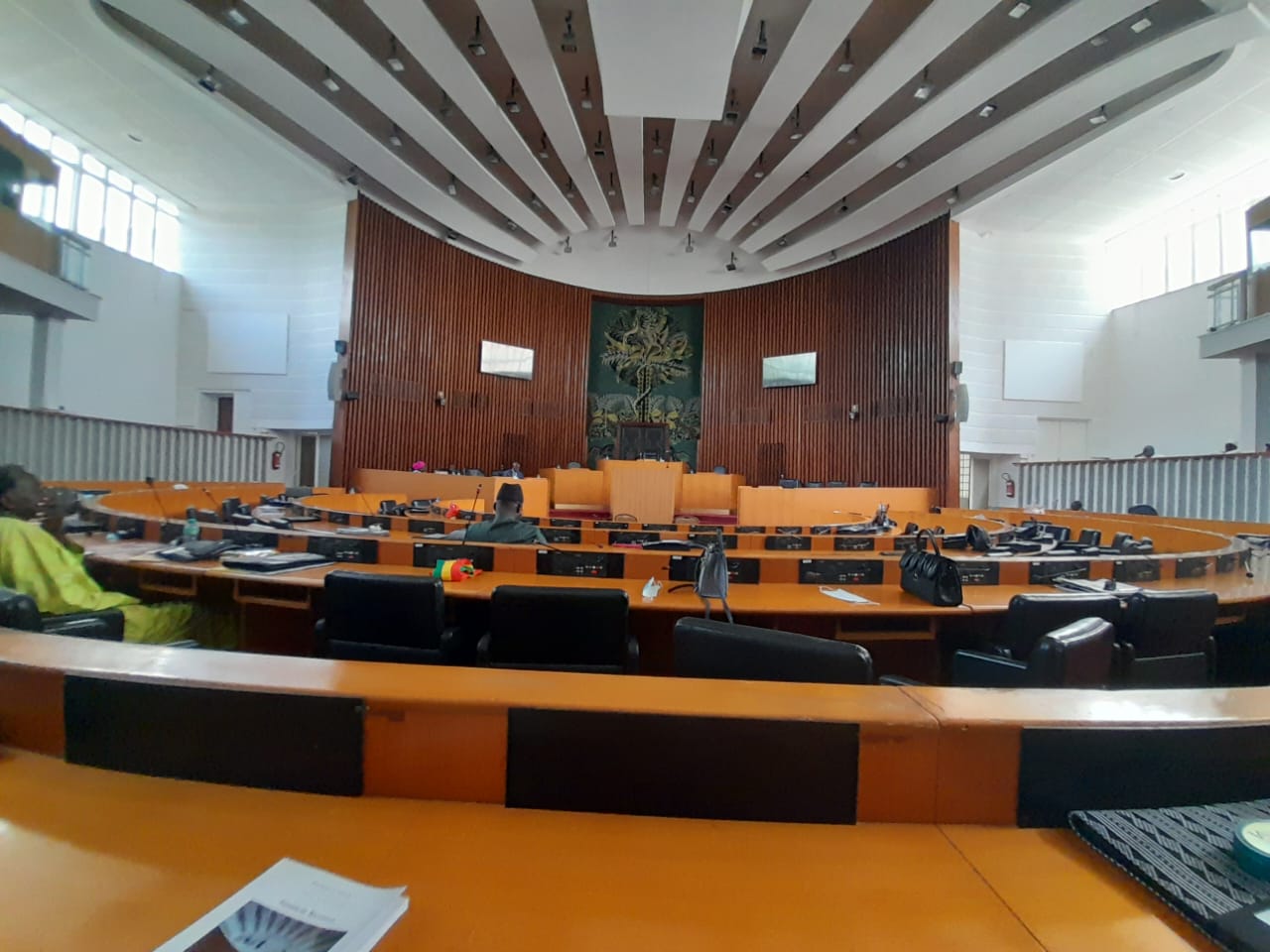 Assemblée nationale : Pape Djibril Fall sermonne les députés sur les retards