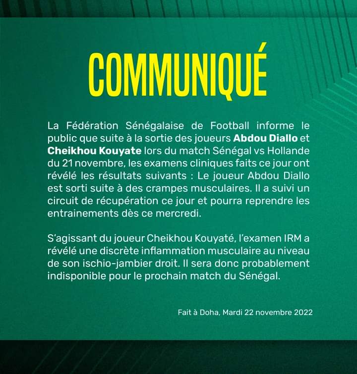 Mondial 2022: Voici le point médical chez les Lions