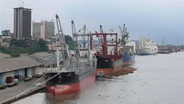Cameroun: la justice française donne raison au port de Douala dans le contentieux avec le groupe Bolloré